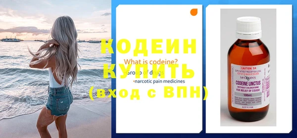 не бодяженный Иннополис