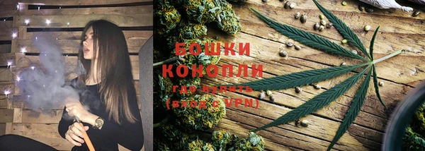 не бодяженный Иннополис